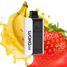 E-Cigarette Jetable – Waka SOPRO – 18000 Taffs (5%/ml)