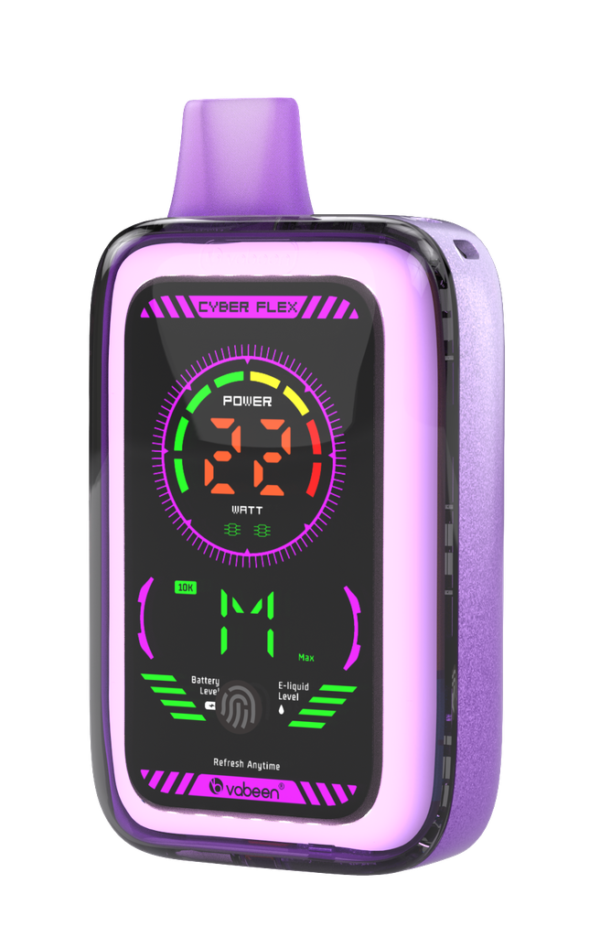 VABEEN CYBER FLEX 25000PUFFS 5_Blueberry Cherry Canbery