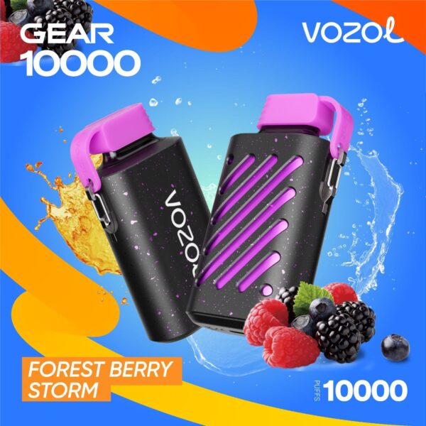 VOZOL GEAR 10 K FOREST BERRY STROM