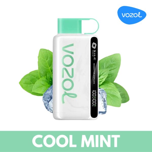 VOZOL-STAR-12000-PUFFS-COOL-MINT