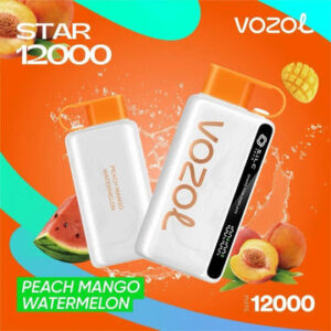 E-Cigarette Jetable – Vozol Star – 12000 Taffs (5%/ml)
